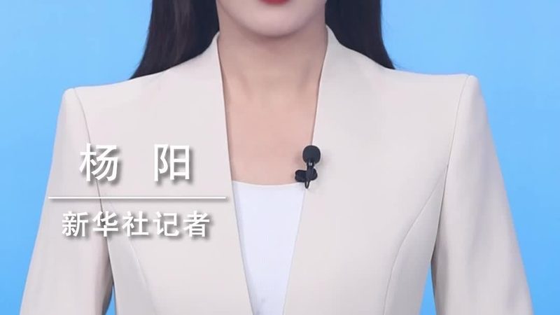 上海大数据服务公司报价解析：揭秘成本构成与优化策略